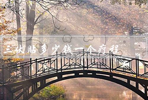 三伏贴多少钱一个疗程，价格因素／疗程价格／购买建议