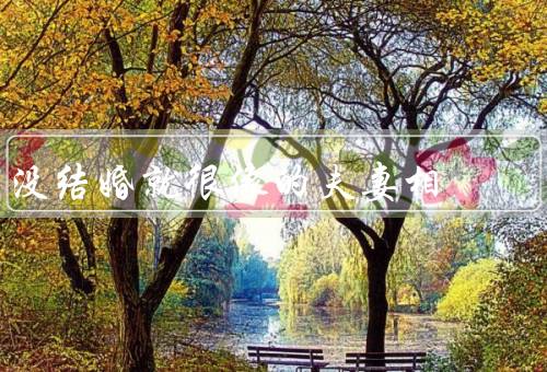没结婚就很像的夫妻相，相貌相似／性格相投／爱好相同