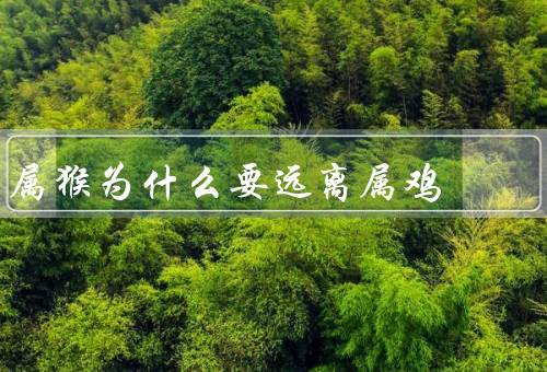 属猴为什么要远离属鸡，性格差异／价值观冲突／情感不合