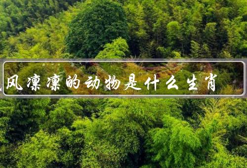威风凛凛的动物是什么生肖，威风凛凛／特点／象征意义