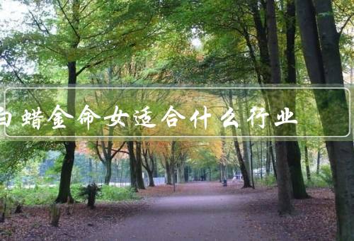 白蜡金命女适合什么行业（金融行业、科技行业、艺术行业）