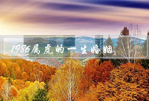 1986属虎的一生婚姻（自由奔放／感情起伏／寻找灵魂伴侣）