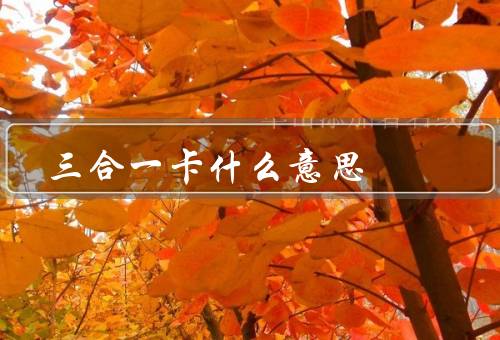 三合一卡什么意思，方便快捷、节省空间、提高安全性
