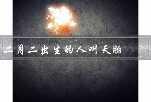二月二出生的人叫天胎，性格特点／事业运势／婚姻家庭