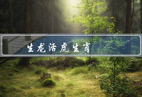 生龙活虎最佳生肖，生龙活虎／无限魅力／力