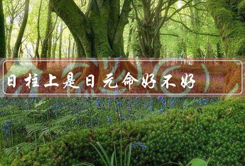 日柱上是日元命好不好，优势／劣势／综合考虑其他因素