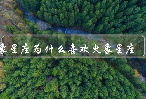 水象星座为什么喜欢火象星座，深情浪漫／情感共鸣／互补关系