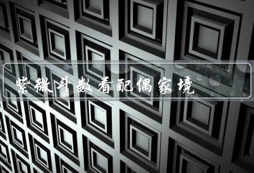 紫微斗数看配偶家境，命宫、财富宫、命盘五行