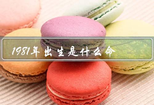 1981年出生是什么命，性格特点／事业与财运／婚姻与家庭