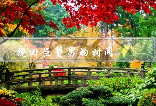 挽回巨蟹男的最佳时间，重建信任／展现温柔和体贴