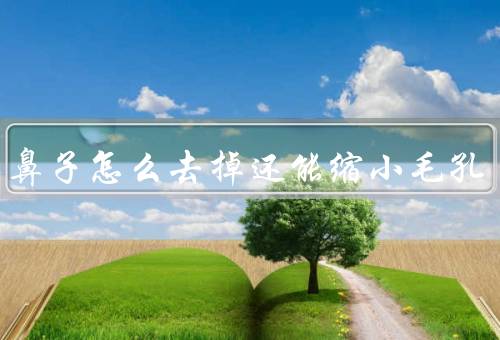 草莓鼻子怎么去掉还能缩小毛孔，日常清洁、去角质、收缩毛孔