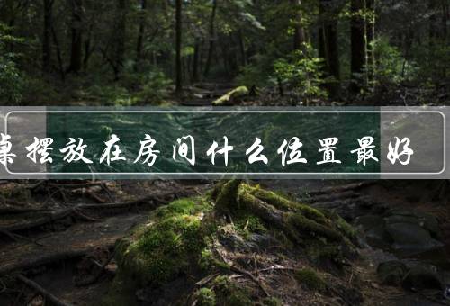 书桌摆放在房间什么位置最好（背靠墙壁、与窗户垂直摆放、远离门窗）