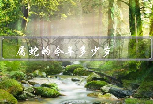 属蛇的今年多少岁，年龄特点／12岁的特点／24岁的特点