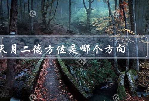 天月二德方位是哪个方向，天月二德方位的定义／东南方向的特点