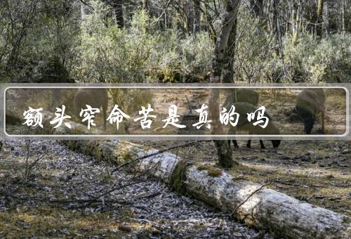 额头窄命苦是真的吗，额头窄与命运／面相学的局限性