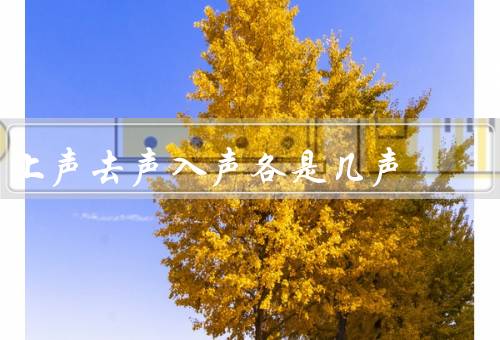 上声去声入声各是几声，上声／去声／入声