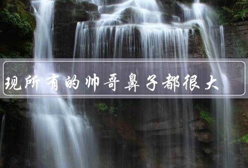 发现所有的帅哥鼻子都很大（共同特征／原因／影响）
