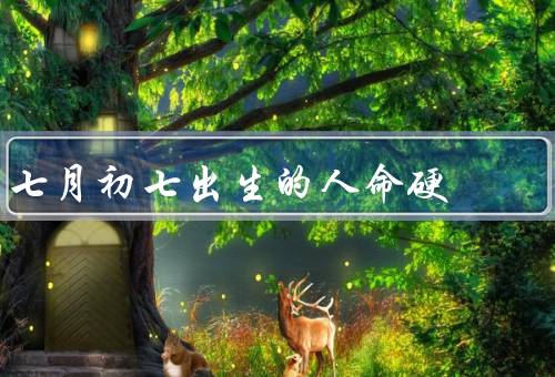 七月初七出生的人命硬（坚定的信念、强大的毅力、成功的者）