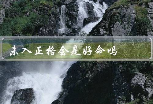 未入正格会是好命吗（优势、劣势、结论）