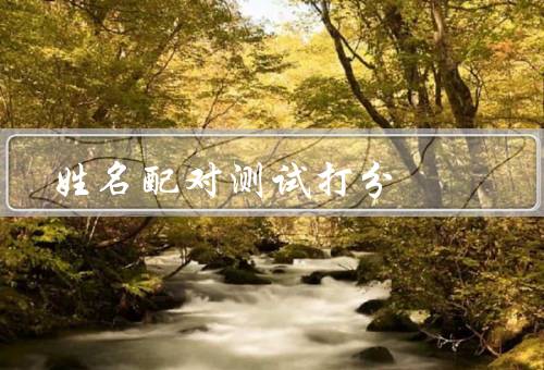 姓名配对测试打分（打分方法／评分标准／实际应用）