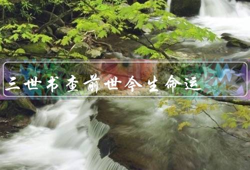 三世书查前世今生命运，前世的轨迹／今生的命运／未来的发展