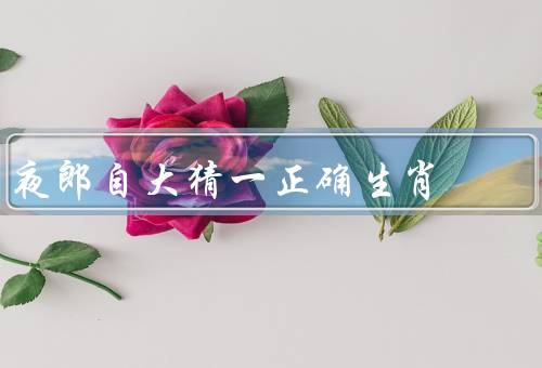 夜郎自大猜一正确生肖（生肖的起源、猜一正确生肖）