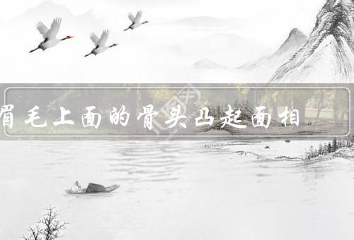 眉毛上面的骨头凸起面相，性格特点／事业和命运展望