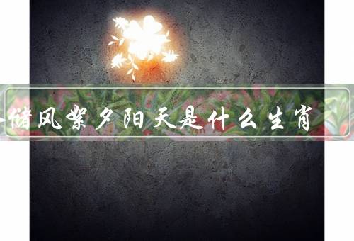 水储风絮夕阳天是什么生肖，性格特点／命运和发展