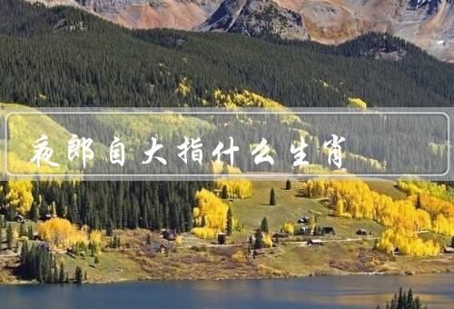 夜郎自大指什么生肖，生肖／表现／克服方法