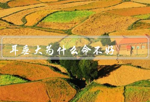 耳垂大为什么命不好，与命运之间的关系／原因／改变命运的方式