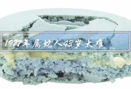 1977年属蛇人43岁大难，职业困境／家庭纷争／身体健康问题