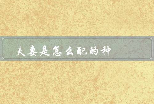 夫妻是怎么配的种（性格互补／共同兴趣／价值观一致）