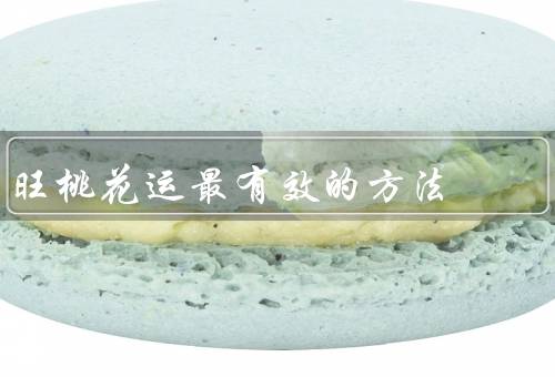 旺桃花运最有效的方法（积极参与社交活动、提升自身魅力）