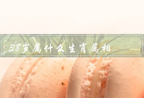38岁属什么生肖属相，有哪些特点？／事业上有什么优势？