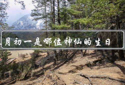 五月初一是哪位神仙的生日（菩提达摩祖师的生平／五月初一的意义）