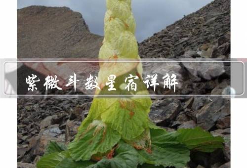 紫微斗数星宿详解，起源／基本原理／应用范围