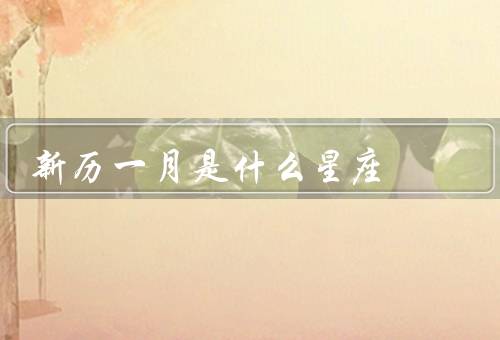 新历一月是什么星座（特点／优点／缺点）
