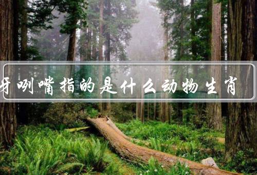 龇牙咧嘴指的是什么动物生肖（老虎、狗、猫）