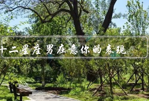 十二星座男在意你的表现，主动与你交谈、注意你的细节