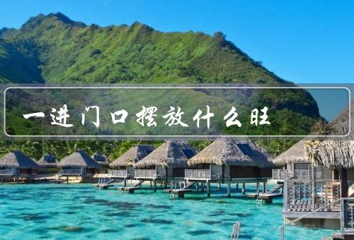 一进门口摆放什么旺风水，镜子、水景、植物