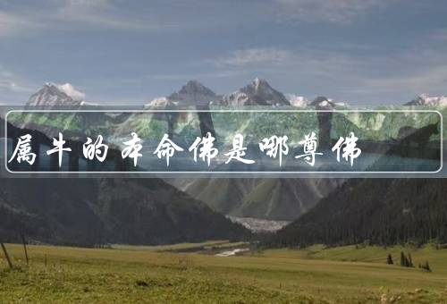 属牛的本命佛是哪尊佛（本命佛、文殊菩萨教诲、人如何供奉文殊菩萨）