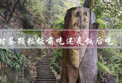 午时茶颗粒饭前吃还是饭后吃（作用机理、饮用时间、个体差异）