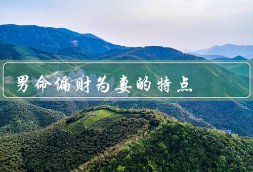 男命偏财为妻的特点，财运亨通、夫妻合作、婚姻稳定