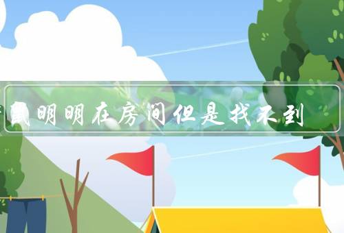 老鼠明明在房间但是找不到，老鼠的隐藏技巧、寻找老鼠的困难