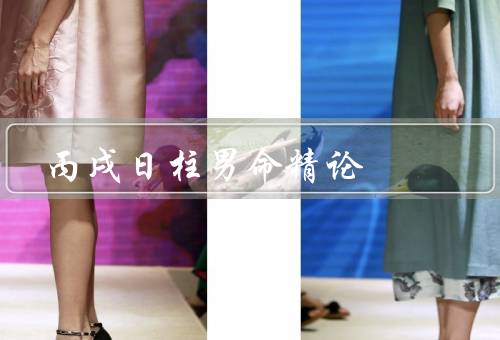 丙戌日柱男命精论，五行分析、八字分析、十二宫分析