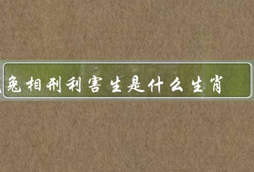 鼠兔相刑利害生是什么生肖，性格特点、事业发展、健康状况