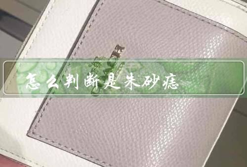 怎么判断是朱砂痣（外观特征／触摸感受／变化趋势）
