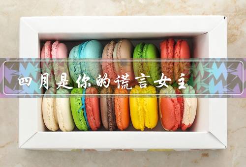四月是你的谎言女主，初次相遇／音乐与谎言／离别与永恒