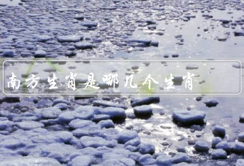 南方生肖是哪几个生肖