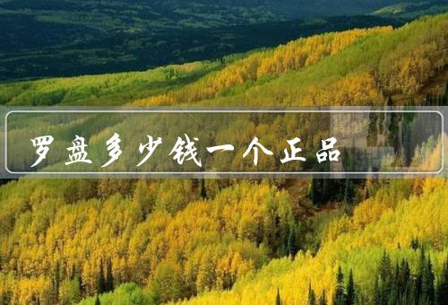 罗盘多少钱一个正品，罗盘的基本原理／正品罗盘的价格区间